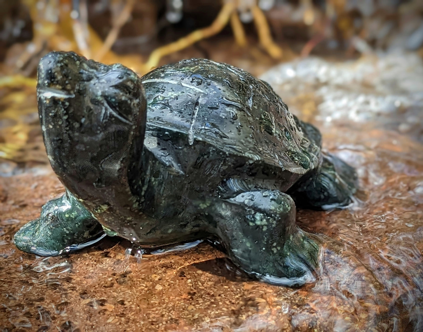 Tortue en Jade (Equateur)